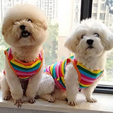 KUTKUT Rainbow Stripe Summer Cotton Sleeveless T-Shirt for Small Breed Dogs ShishTzu, Lhasa, Poodle-T-Shirt-kutkutstyle